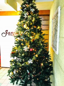 ジャンジー　ワンダー　クリスマス！！